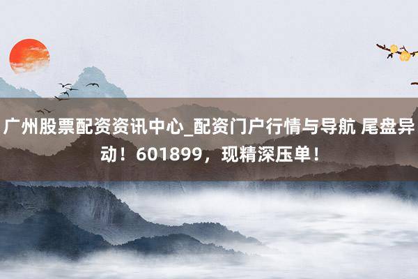 广州股票配资资讯中心_配资门户行情与导航 尾盘异动！601899，现精深压单！
