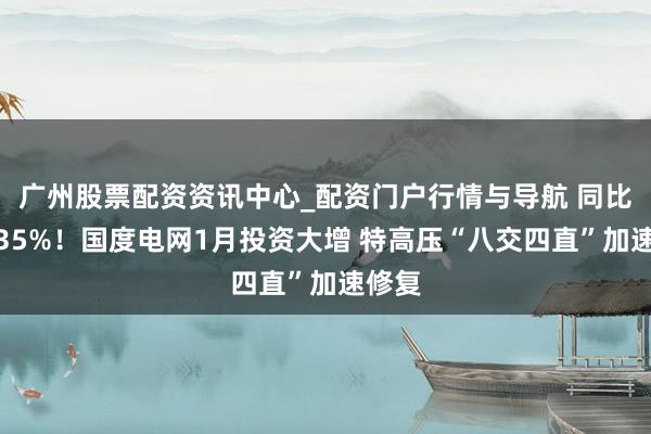 广州股票配资资讯中心_配资门户行情与导航 同比增超35%！国度电网1月投资大增 特高压“八交四直”加速修复